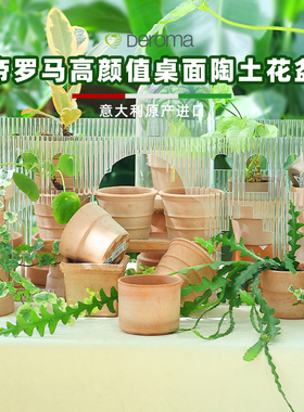 DEROMA帝罗马手工粗陶瓷创意球根兰花盆多肉专用迷你桌面小号花盆