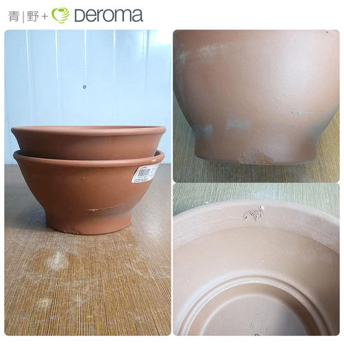 丽萨碗形陶土盆透气草花种球