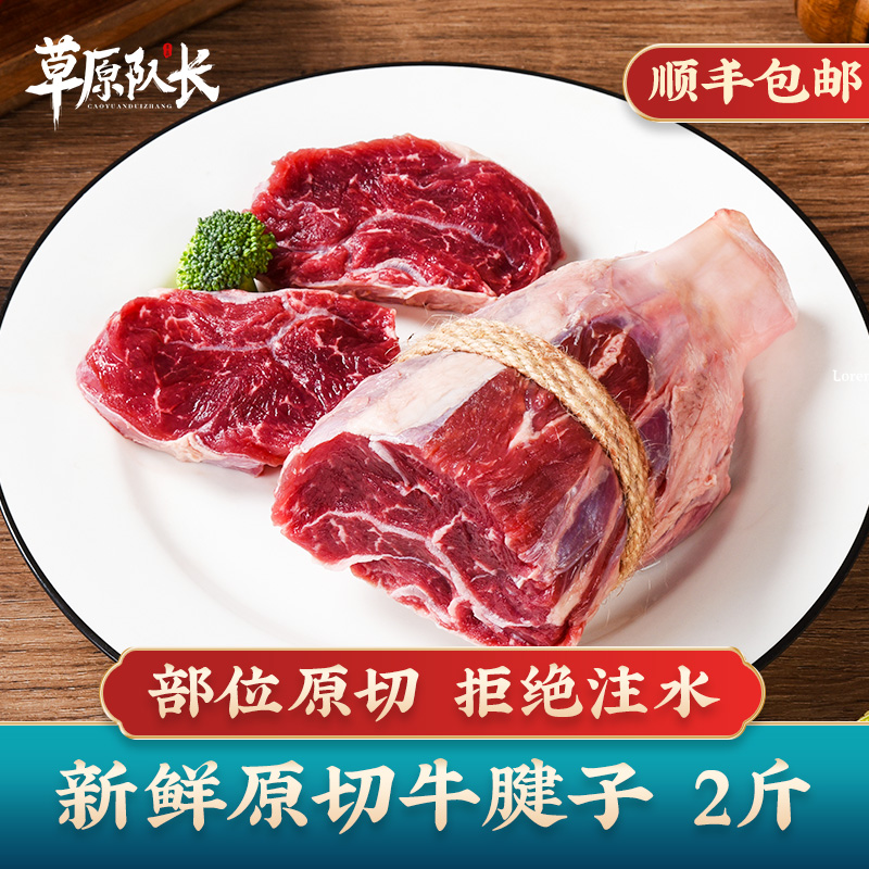 草原队长 牛腱子肉生鲜内蒙古黄牛肉新鲜金钱腱牛腱孑肉 1000g