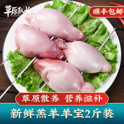 草原队长羊蛋羊宝新鲜冷冻