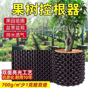 果村树围挡加厚育苗容器20高塑料排水板栅栏移苗树围子种植80公分