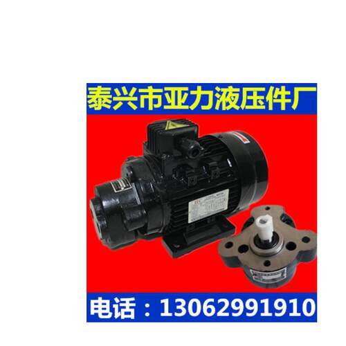 新款CB-B10jz CB-B6JZ CB-B4 CB-B2.5润滑泵头F齿轮泵 内插油包邮