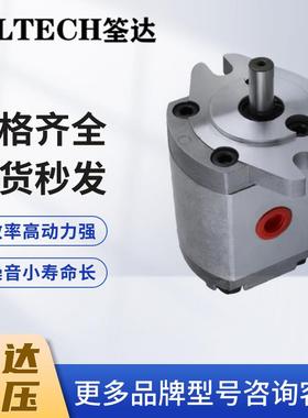 新款液压泵SOLTECH齿轮泵RGP-F1/2/3/4 RGP-F33/2A高包邮