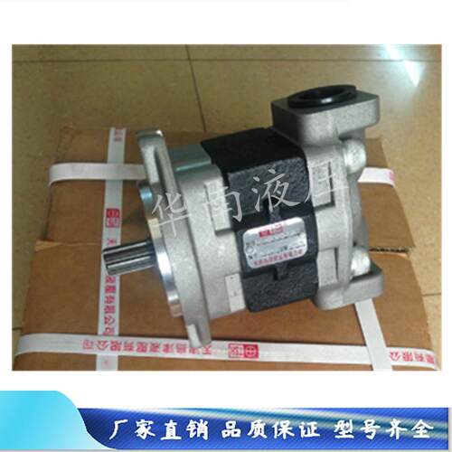 新款合力杭叉龙工柳工叉车齿轮泵SGP1A32D9HH1-L263C天津包邮