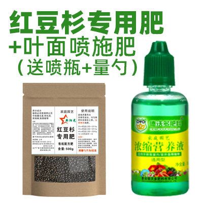 红豆杉肥料专用肥杉树肥料有机复合肥营养液叶面喷施肥颗粒缓释肥