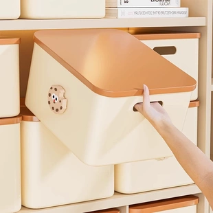 收纳盒桌面客厅零食玩具置物筐桌上杂物整理箱塑料长方形储物盒子