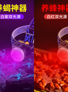 红光养蜂专用头灯查蜂取蜜蜜蜂灯头戴式手电筒调焦红白双光源