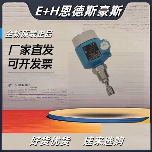 议价E+H音叉固体限位电子振动智能液位开关FTL41 FTL51B FTL31 FT