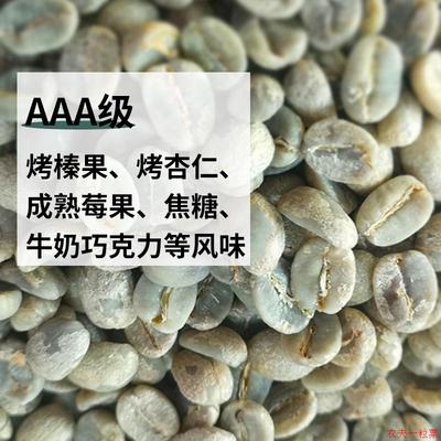 AAA阿拉比卡1000g卡蒂姆咖啡生豆 云南特浓保山小粒高晟庄园手冲