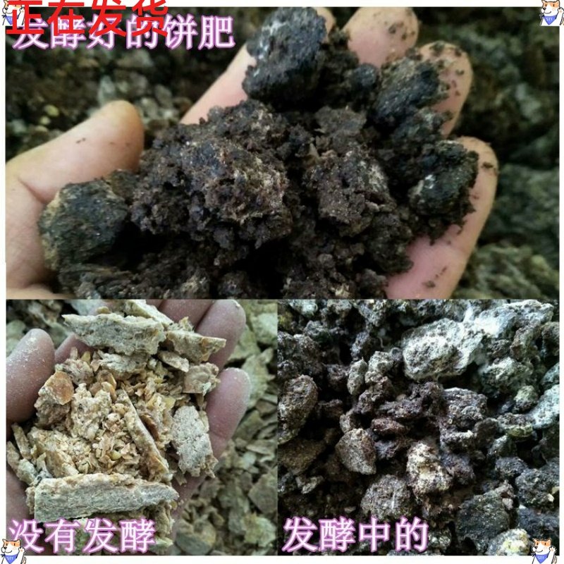 豆渣肥料素材模板 豆渣肥料图片下载 小麦优选