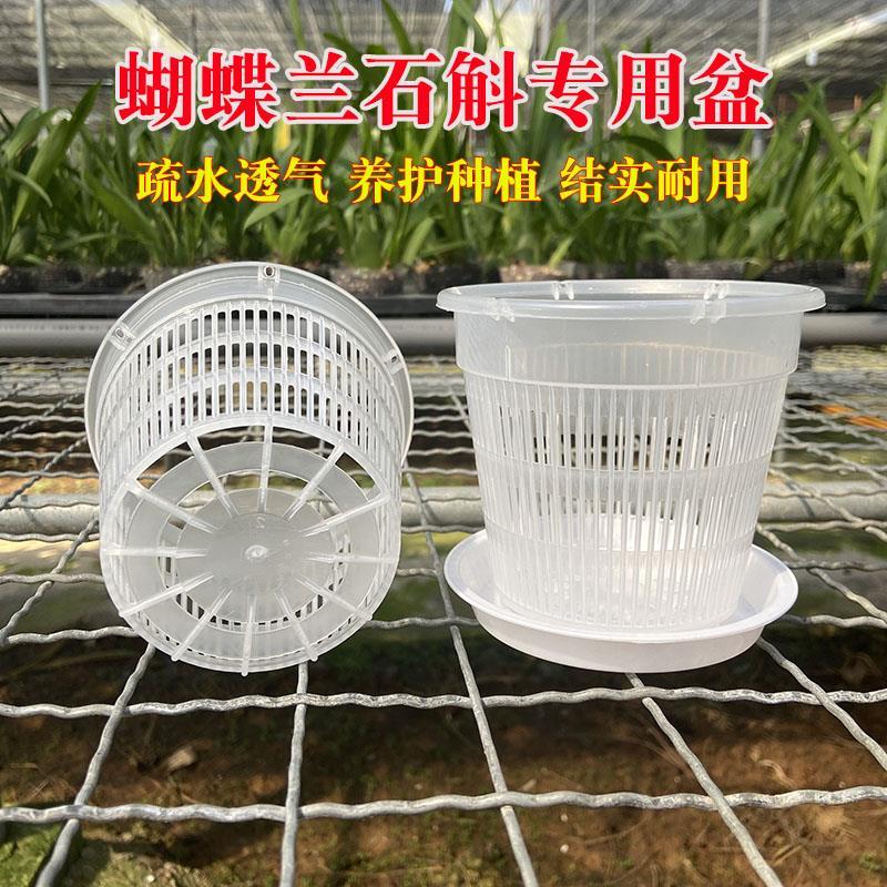 蝴蝶兰专用控根花盆铁皮石斛地面盆新款绿植盆桌面简约花卉透气盆