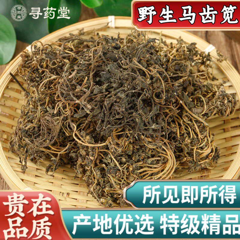 野生马齿苋500g克干野菜正品中药材马齿草马齿菜马齿苋五行草新货