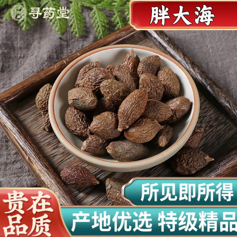 精选正品胖大海500g克中药材泡水搭罗汉果润喉咽清炎茶特級新货