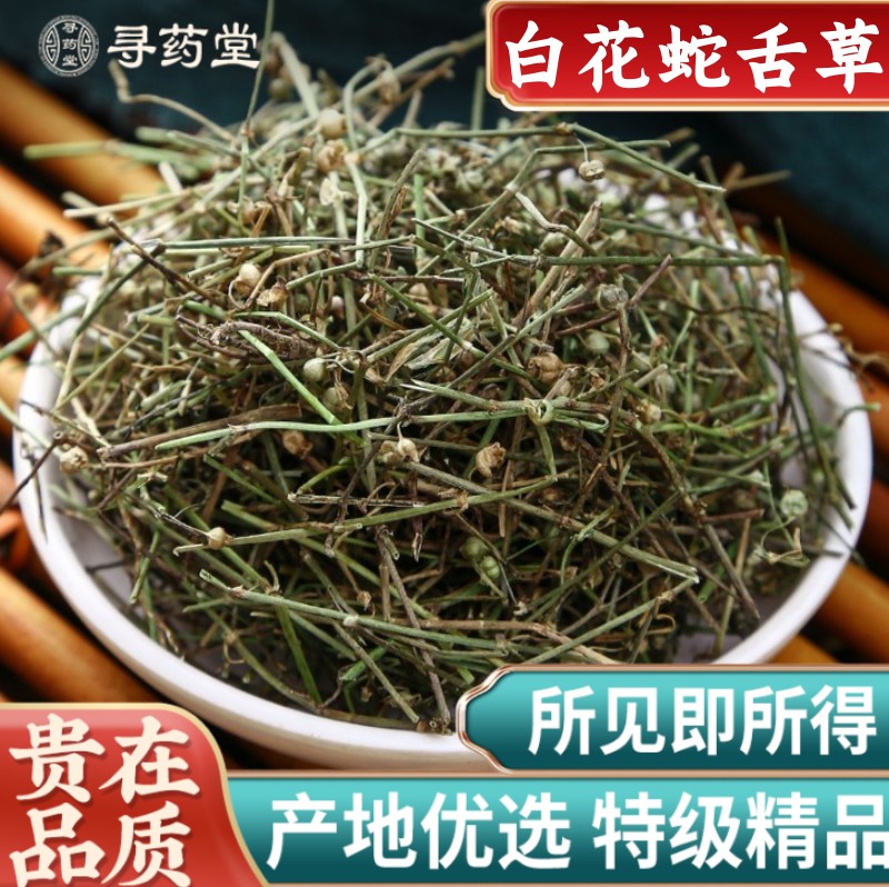 精选野生白花蛇舌草500g包邮新鲜草药中药材另售半枝莲铁树叶大枣