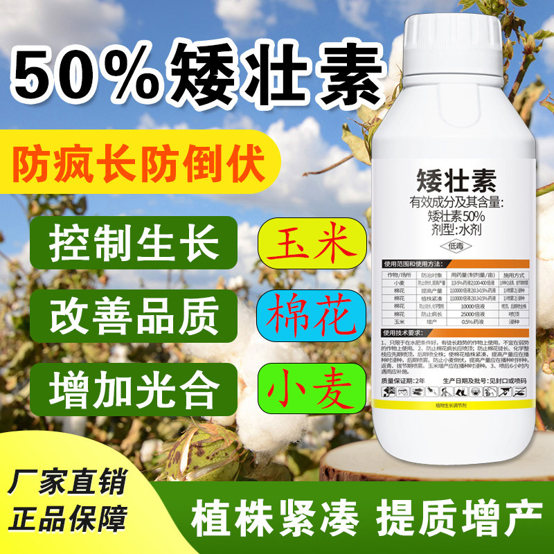 玉米矮状素矮壮素植物生长调节剂 助壮素 小麦棉花玉米农作物增产
