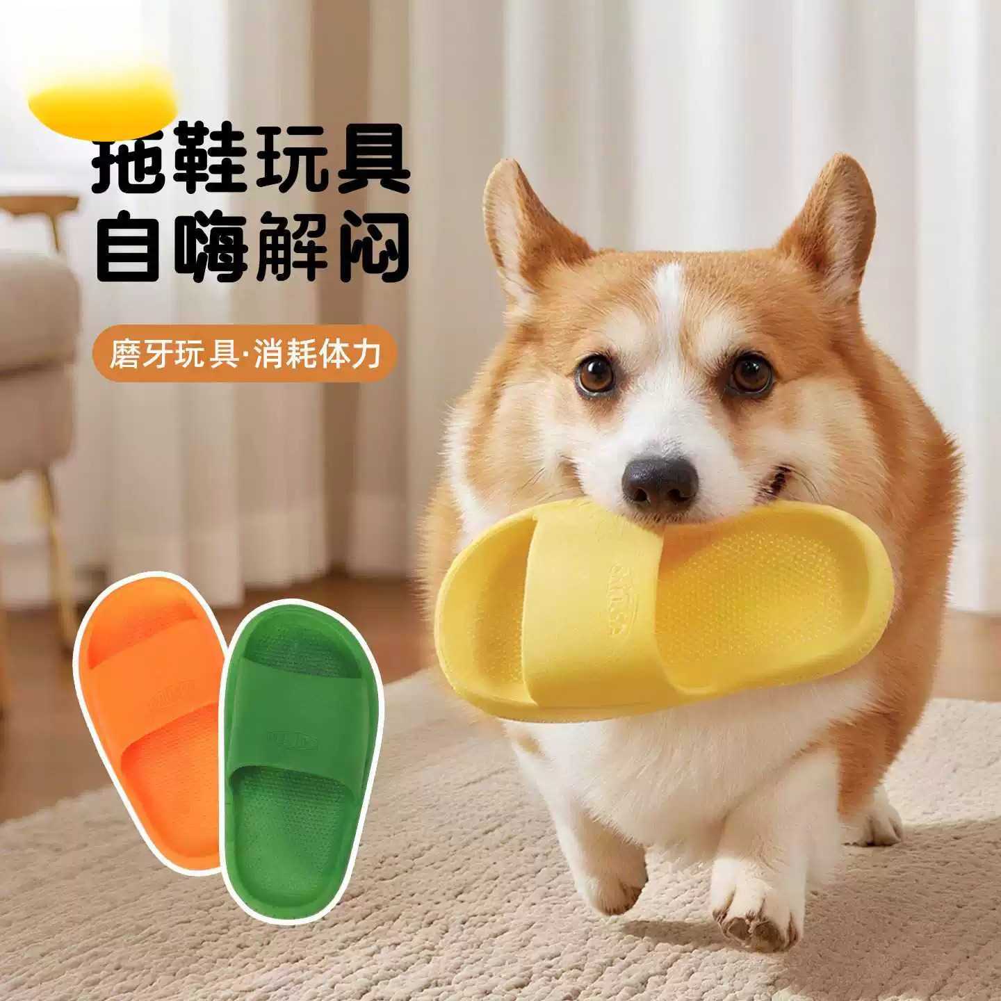 宠物狗狗拖鞋玩具磨牙耐咬自嗨解闷消耗体力小型犬幼犬柯基犬用品