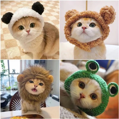 猫咪狮子头套可爱兔耳朵小熊帽子
