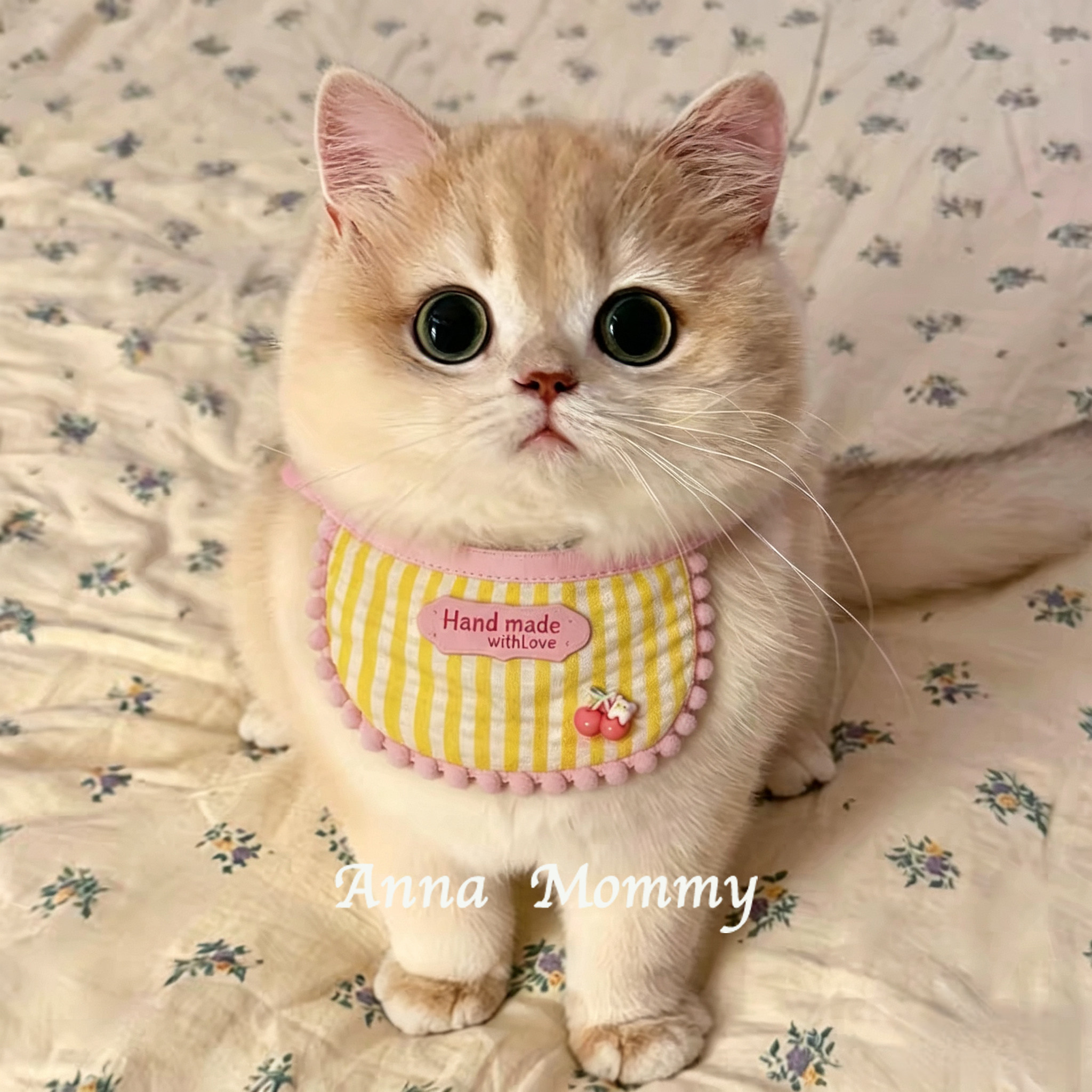 狗狗围兜猫咪口水巾可爱粉色豆豆边小围脖比熊英短渐层宠物配饰
