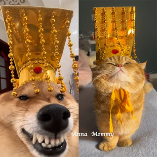 狗狗皇帝帽宫廷头饰创意搞怪猫咪头套宠物秦始皇头冠cos拍照出片