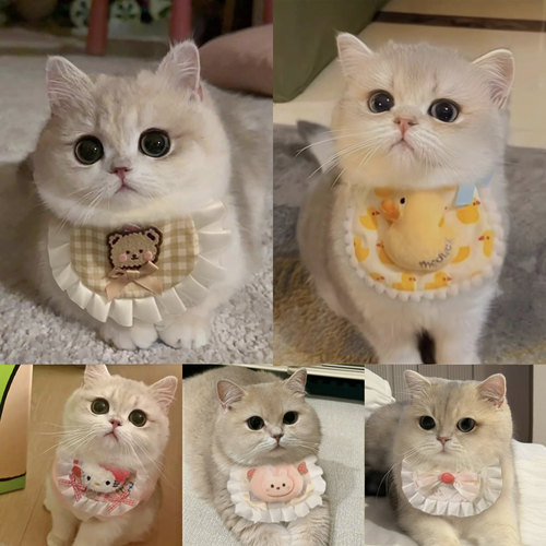 猫咪狗可爱围兜宠物蕾丝布艺