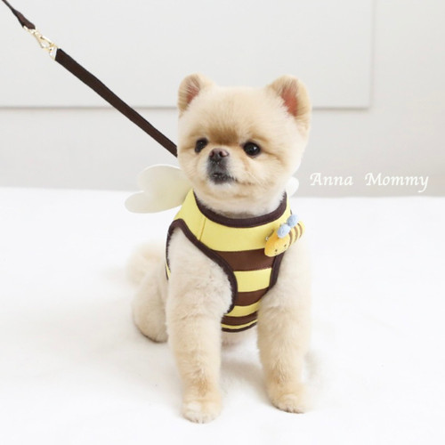 蜜蜂狗狗胸背带可爱卡通