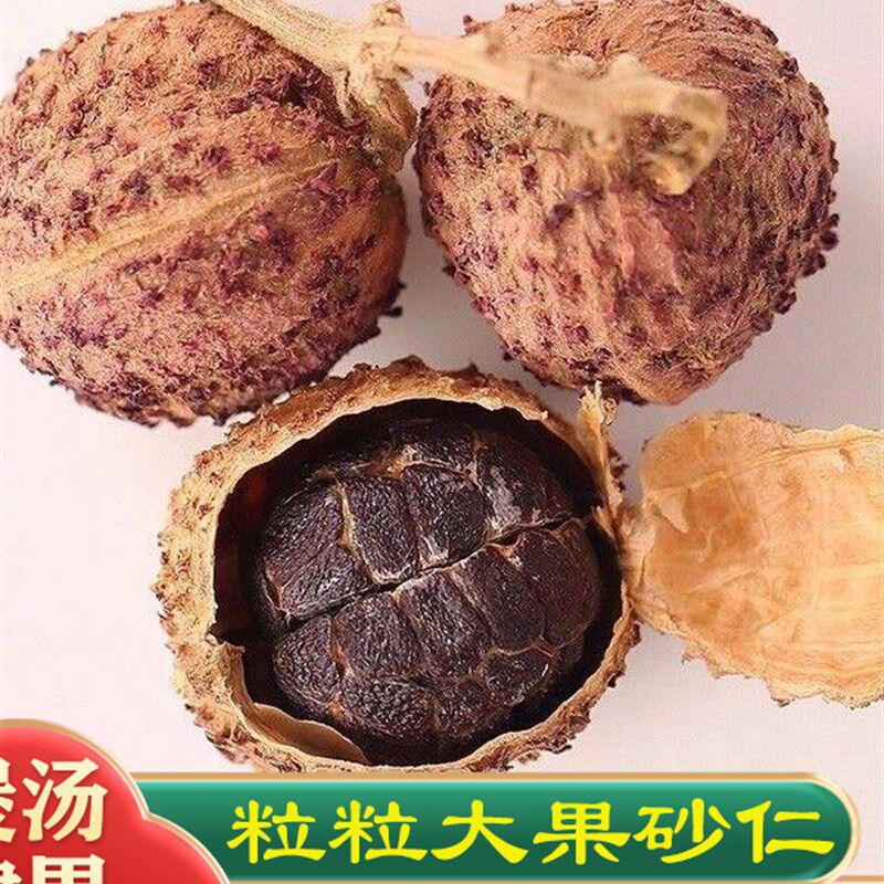 【出口级大果】正宗阳春春砂仁特产野生广东正品沙仁中药材养胃糊