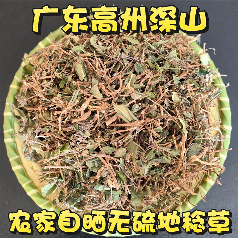 深山地稔地捻草地念藤山地菍铺地锦地脚茶地茄子矮脚地菍干品包邮