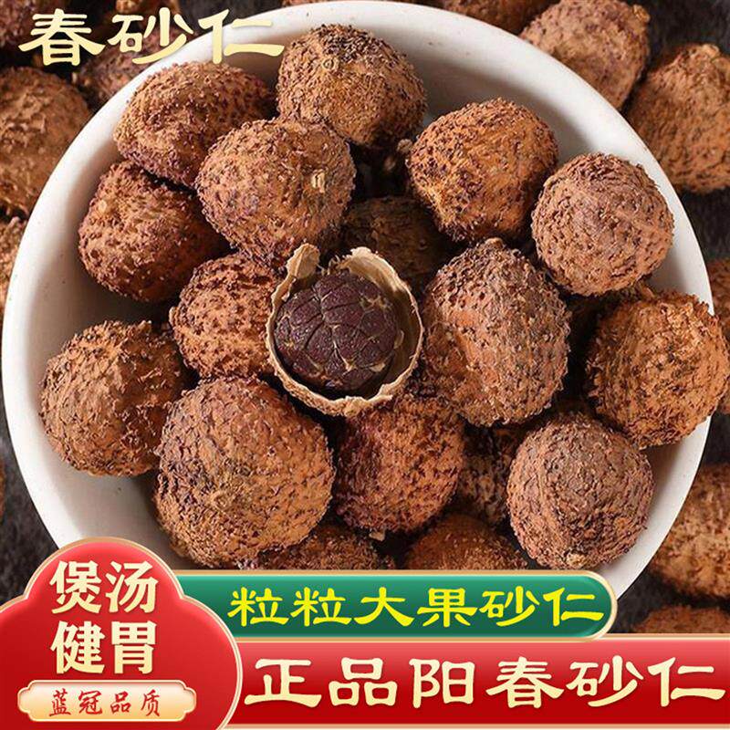 【正品】阳春春砂仁沙仁阳春特产野生广东砂仁养胃500g煲汤香料