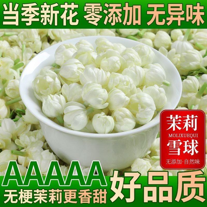 横县茉莉雪球花茶无梗浓香新茶可食用浓香型干茉莉花干花孕妇茶