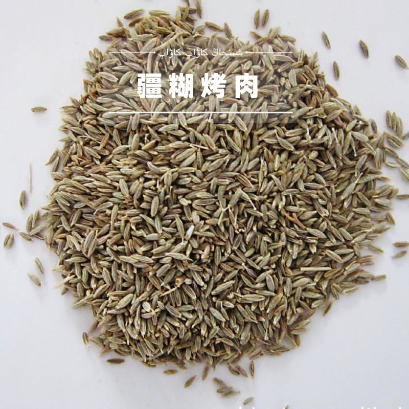 新疆孜然粉烧烤调料羊肉串调料专用调料粉商用半颗粒撒料500克/包