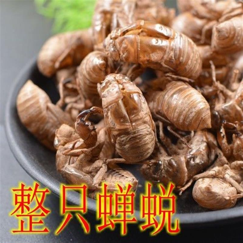 野生蝉蜕皮虫蜕60个瓶装中药材