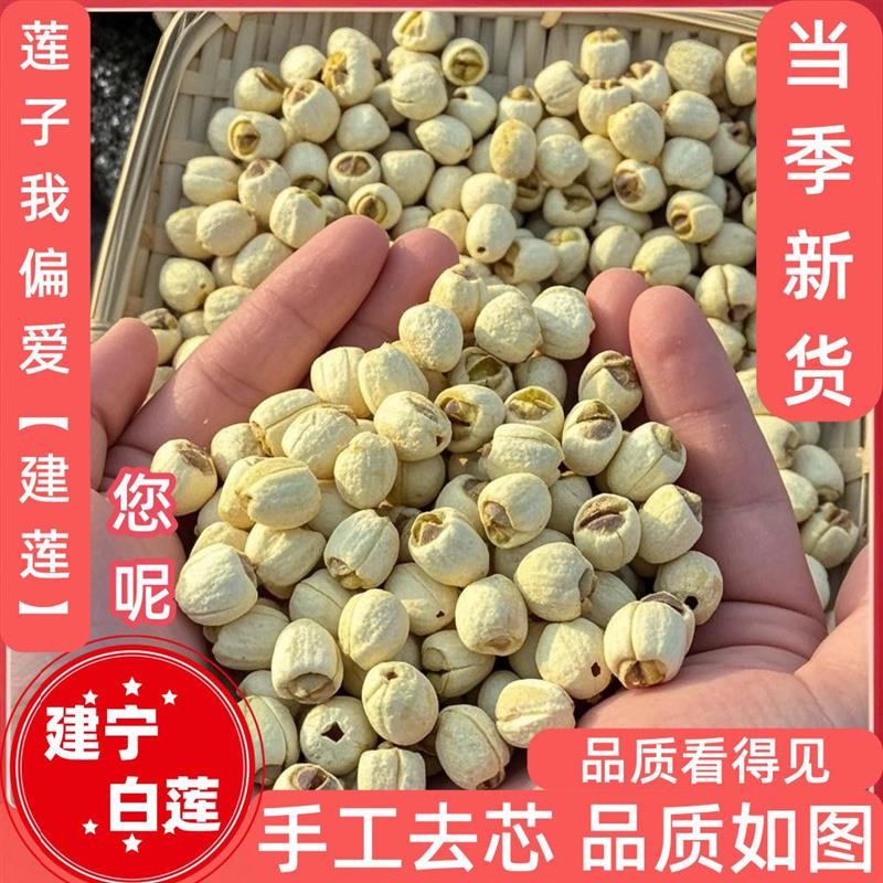 建宁莲子原产地直销优质莲子去芯新货农家自产无芯磨皮白莲白连