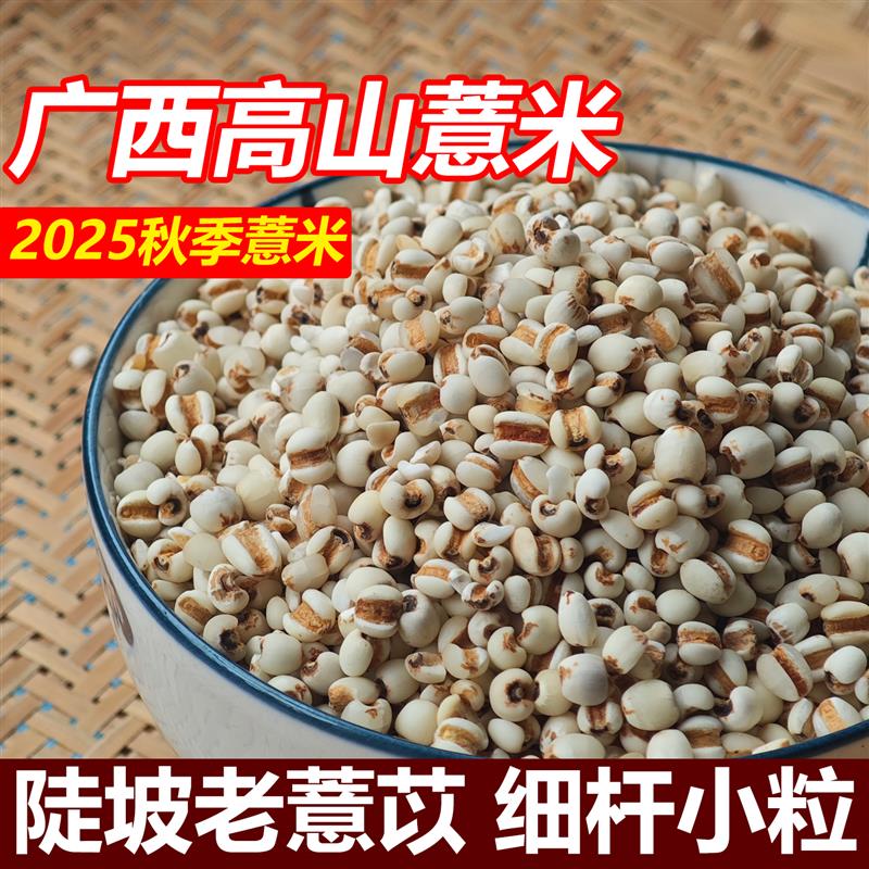 10斤新货广西农家高山薏仁