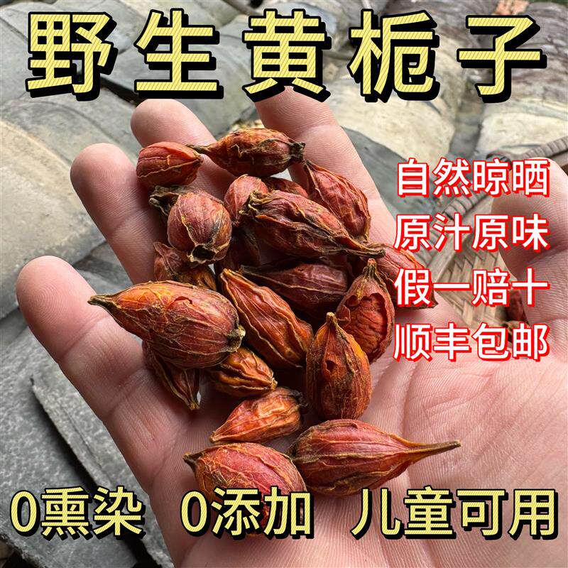 野生黄栀子深山采摘自然晾晒黄栀子干货中药材原料纯野生无熏硫