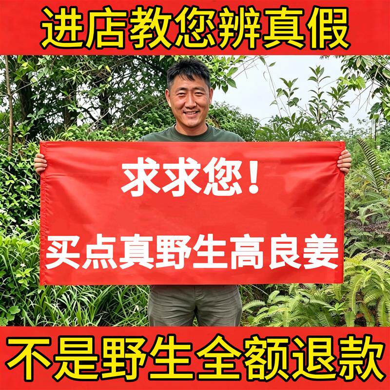 深山纯野生高良姜500g中药材正品新货无硫熏良姜片香料调味卤香浓