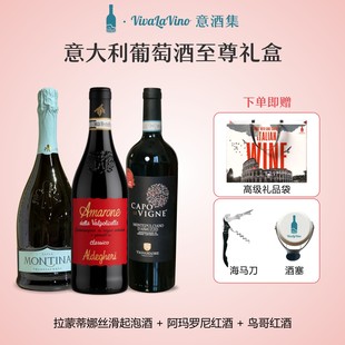 意酒集意大利原瓶进口红酒至尊礼盒拉蒙蒂娜起泡酒+阿玛罗尼+鸟哥