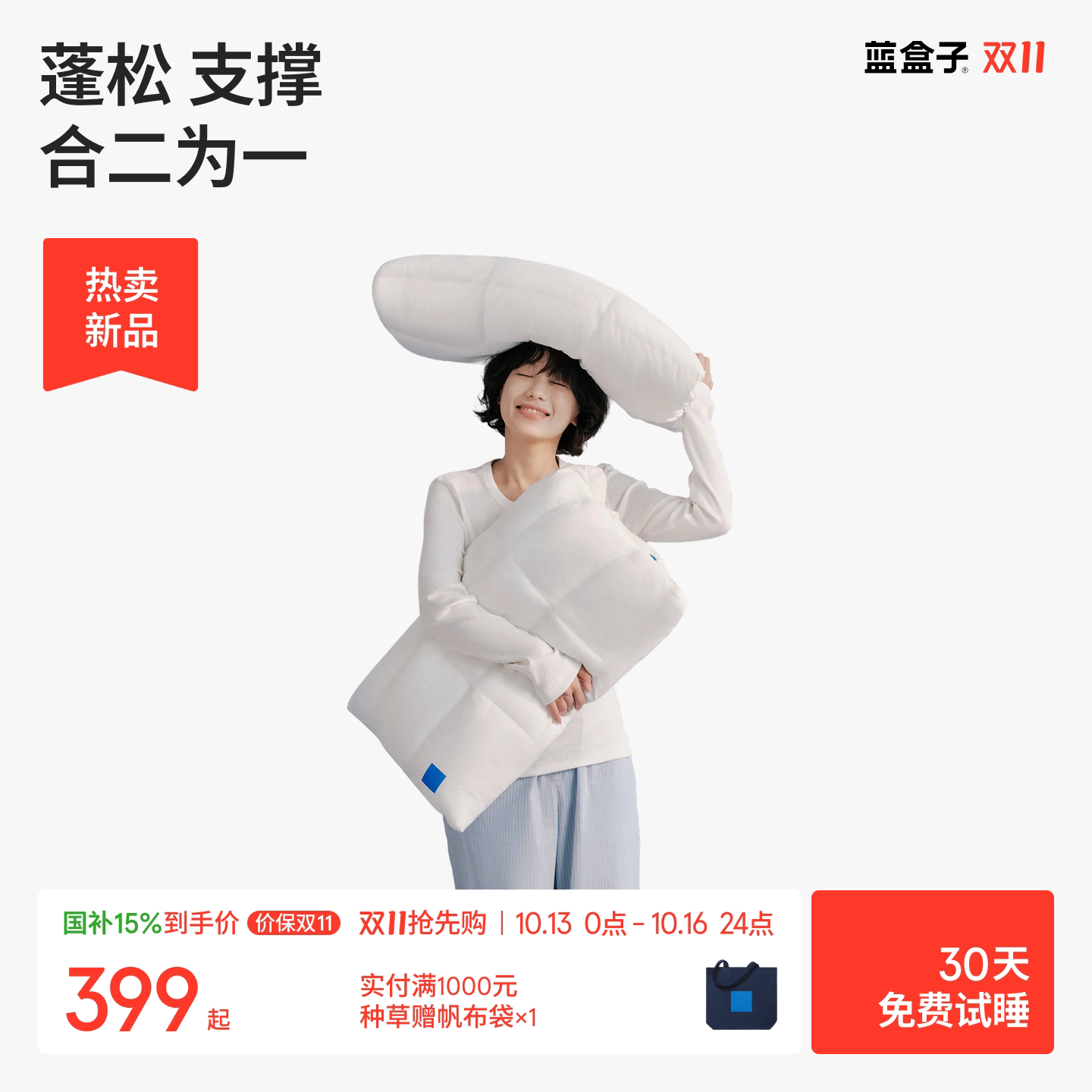 蓝盒子枕中枕N3枕头助睡眠可调节记忆棉枕头枕芯一对成人专用礼物