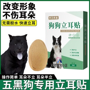 五黑狗耳朵立耳器狗狗立耳神器辅助耳朵固定器幼犬小狗竖耳立耳贴