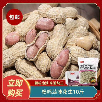 杨鸣蒜味花生10斤花生米炒货花生年货网红下酒菜小零食小吃