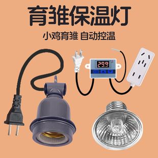小鸡育雏保温箱保温灯芦丁鸡发热灯小鸟饲养育雏室恒温箱加温设备