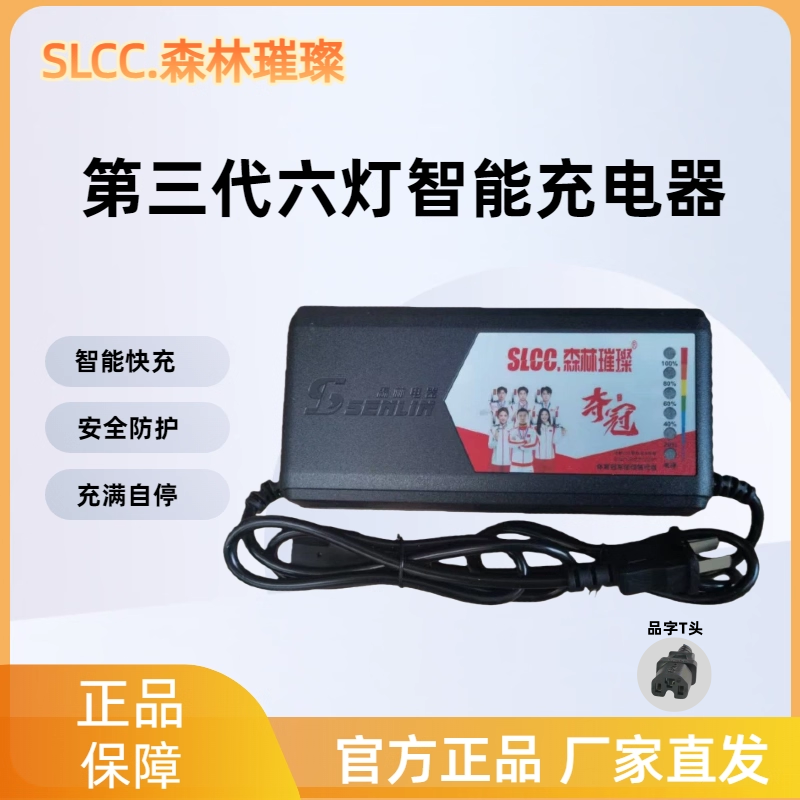 森林荣耀璀璨充电器48V60v72V