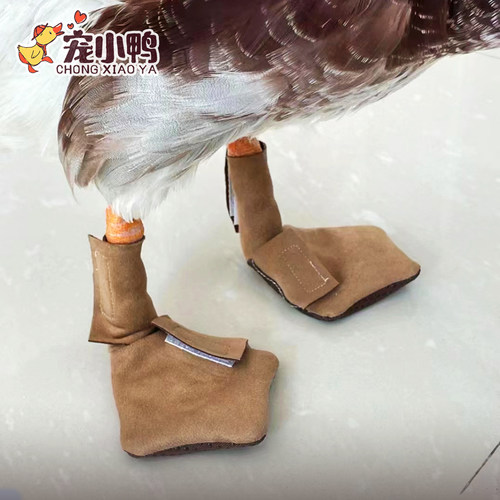 宠物鞋靴子鸭鹅鞋子防滑保护脚掌