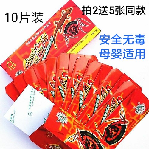 壁虎蟑螂达豪四脚蛇小强蟑螂屋