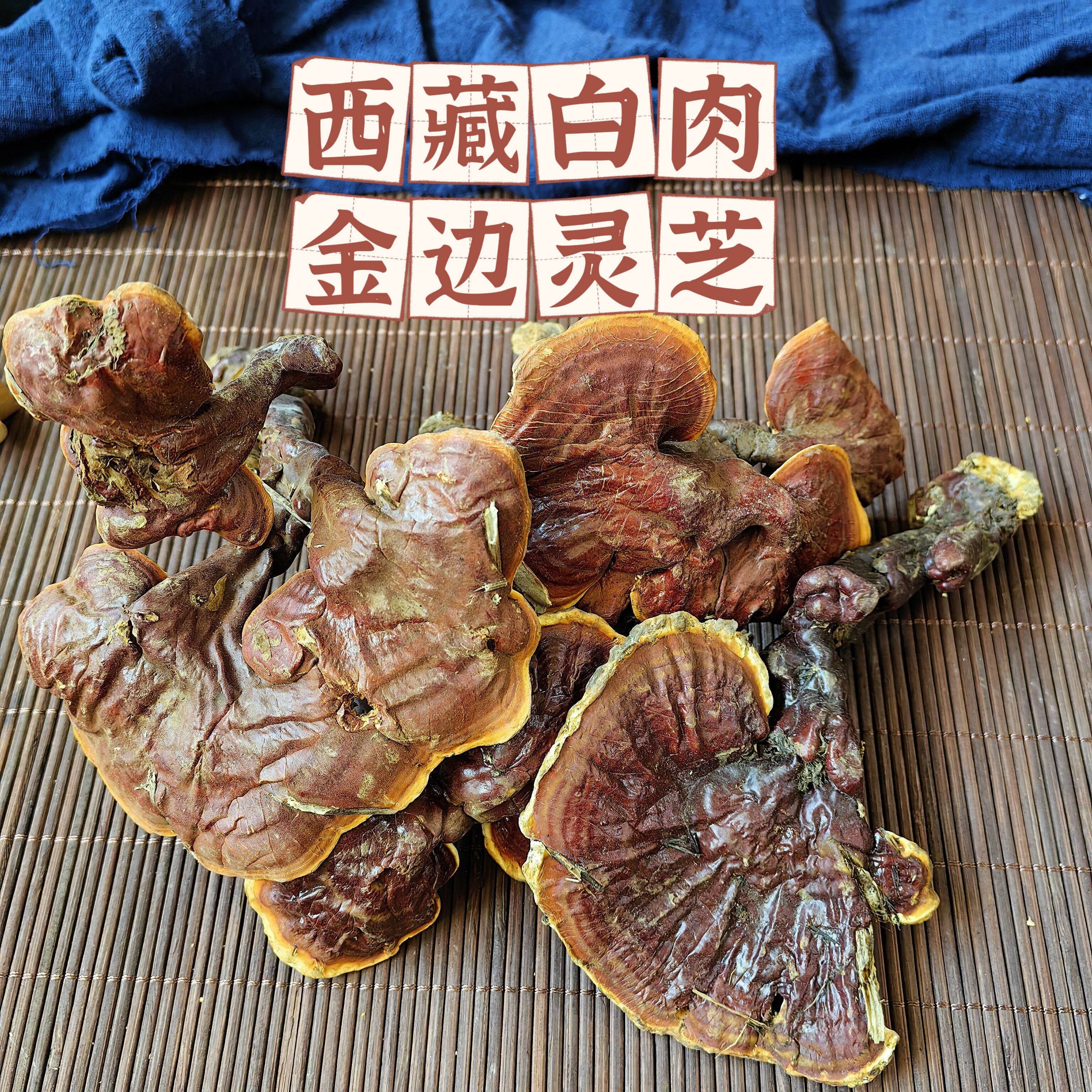 野生西藏金边白肉灵芝煲汤料