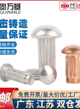 铝标牌铆钉GB827不锈钢滚花铝铆钉铜铭牌商标实心铆钉M2M2.5M3M4