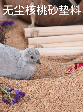 芦丁鸡鹌鹑专用无尘核桃沙芦丁鸡的垫料发酵床核桃砂宠物清洁木屑