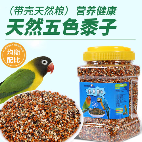 带壳混合粮桶装黍子鸟