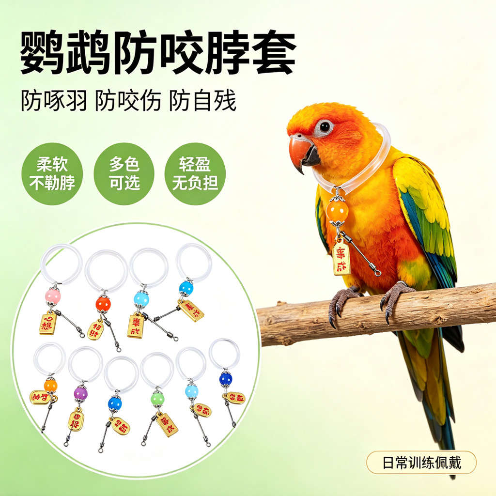 鹦鹉脖套放飞遛鸟脖圈链子和尚玄凤牡丹虎皮栓鸟训练装饰项圈