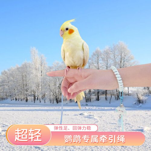 彩色超轻弹力绳鹦鹉放飞绳牵引绳鸟用外出牵引绳防磨护腿硅胶脚环