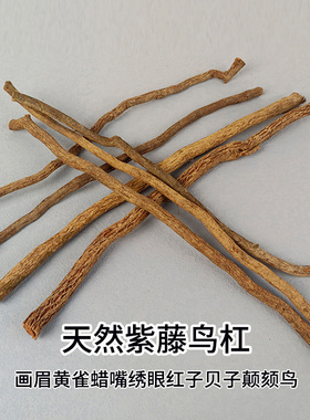 天然紫藤鸟杠红子黄雀玉鸟靛颏画眉鹩哥贝子鸟鸟笼配件藤条挑杠
